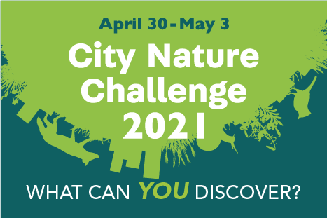 Omaha STEM Ecosystem Partners with City Nature Challenge 2021